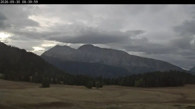 Image de la webcam Plateau de l'Arselle 1600